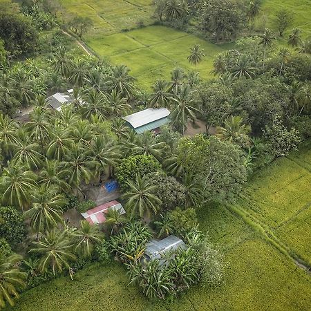 Coconut Park Panzió Anuradhapura Kültér fotó